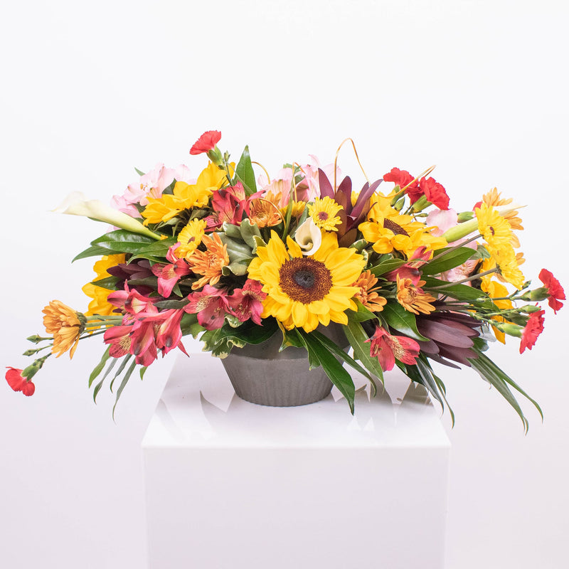Sunflower DIY Flower Kit with supplies