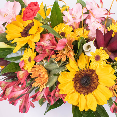 Sunflower DIY Flower Kit with supplies