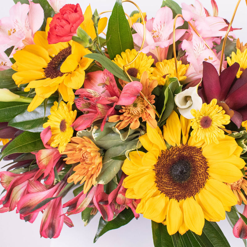 Sunflower DIY Flower Kit with supplies