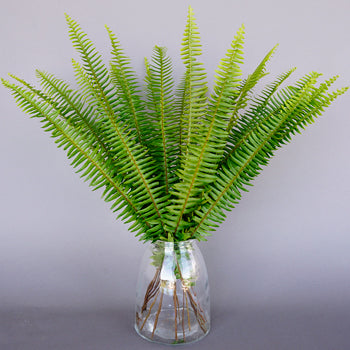 Wholesaale greenery sword fern filler flowers sold near me