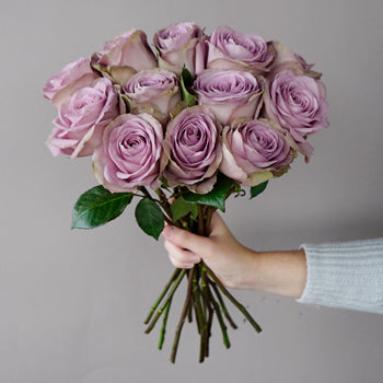 Royal Crown Rose