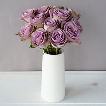 Royal Crown Rose