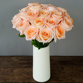 Honey Bella Peach Rose