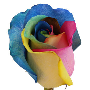 Tie Dye Rainbow Roses
