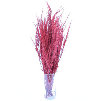 Red Airbrushed Sage