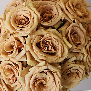 Ready To Go Wholesale Centerpieces Card