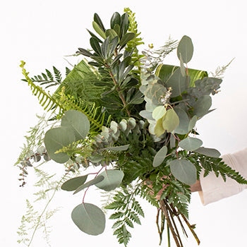 Tommy Green Wholesale Bouquet Bunch in a hand
