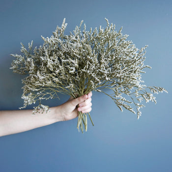 Dried German Statice