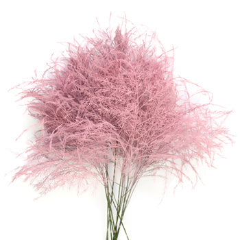 Wholesale greenery pink tree fern filler flowers sold as bulk