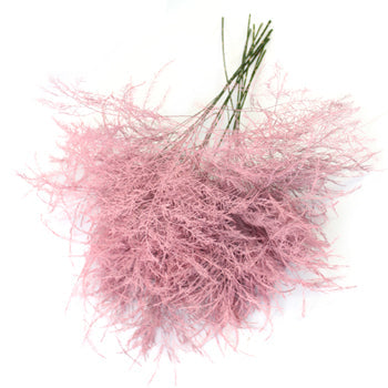 Bulk greenery pink tree fern filler flowers for sale near me as delivery
