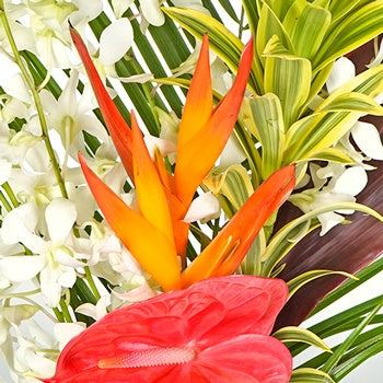Honolulu Heat Tropical Centerpiece