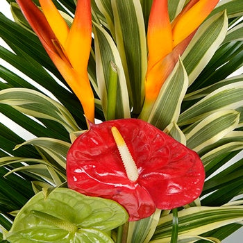 Jungle Hideaway Tropical Centerpiece