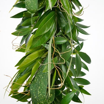 Tropical Surprise Garland
