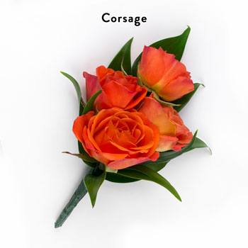 Tropical Sunset Wedding Collection