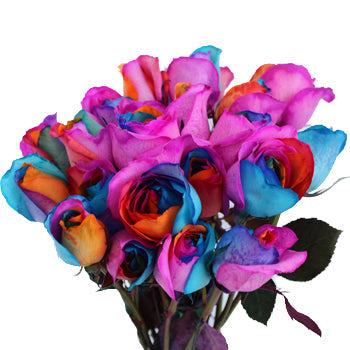 Groovy Rainbow Roses