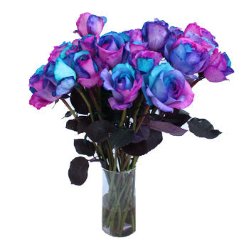 Turquoise, Pink and Purple Rainbow Roses
