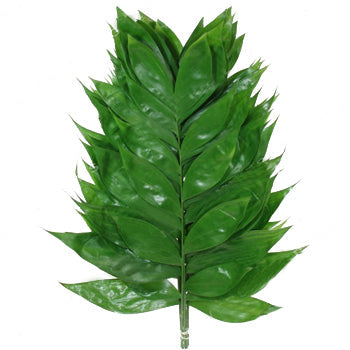 Wedding greenery jade filler flowers sold near me