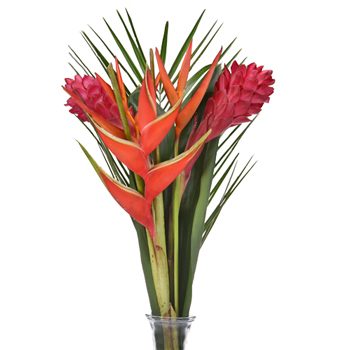 Havana Breeze Centerpiece