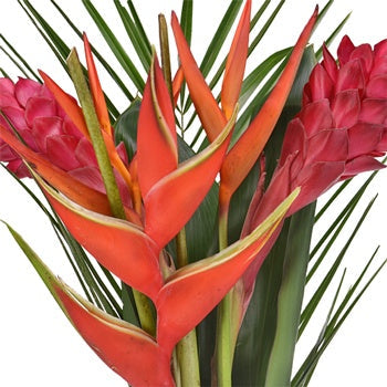 Havana Breeze Centerpiece