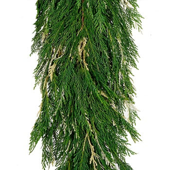 Variegated Leyland Cedar Garland