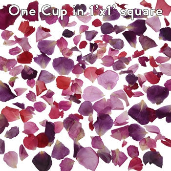 Berry Freeze Dried Rose Petals