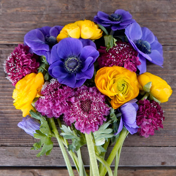 Flower Power DIY Entertainment Pack