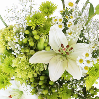 Wedding Decor Fresh White Flowers