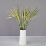Bunch of stems fresh wheat greens filler flower designed