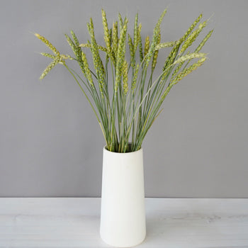 Bulk greens fresh cut pasta wheat filler flower bunch designed