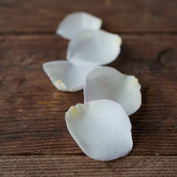 Dried White Garden Rose Pedals