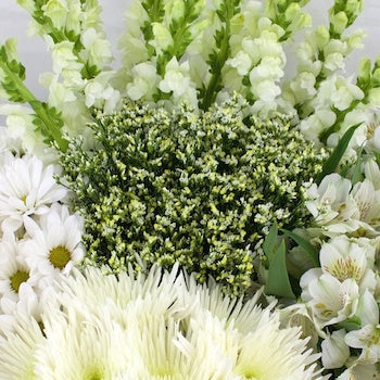 Mothers Day Wholesale White Combo Pack