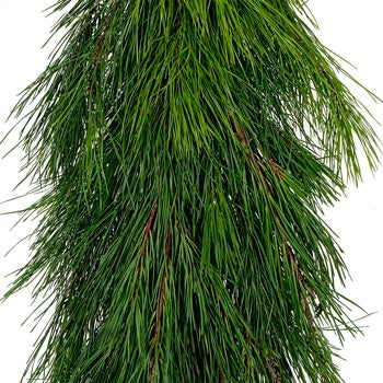 White Pine Winter Greens Garland