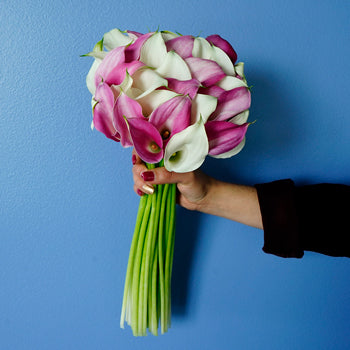 Pink and White Mini Calla Bouquet