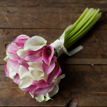 Pink and White Mini Calla Bouquet