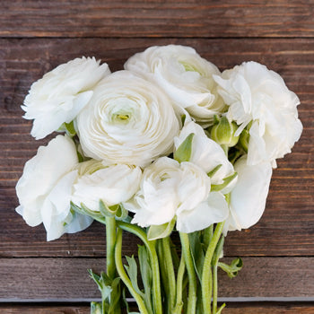 Save the Ranunculus Wild Flowers