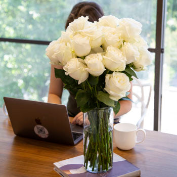 Fresh European Cut White Roses For Your House