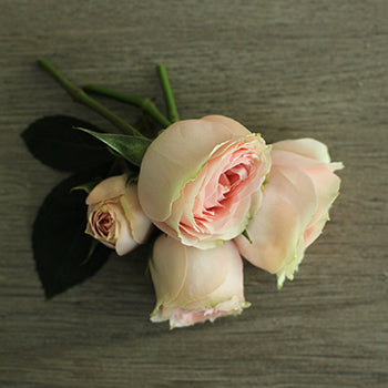 Pink Spray Rose Stem laying down