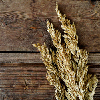Wild Dried Oats
