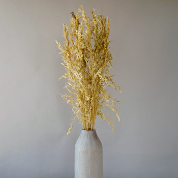 Wild Dried Oats