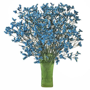 Capri Blue Limonium Airbrushed Filler Flowers