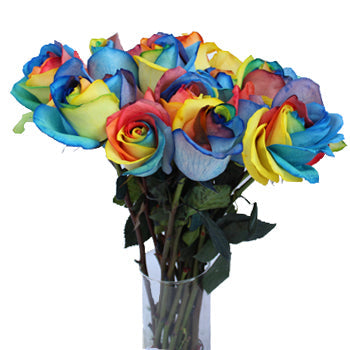 Primary Colors Rainbow Roses