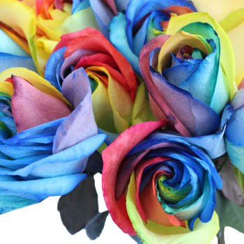 Primary Colors Rainbow Roses