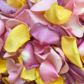Pastel Mix Freeze Dried Rose Petals