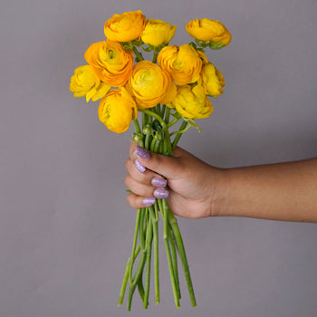 Save the Ranunculus Wild Flowers
