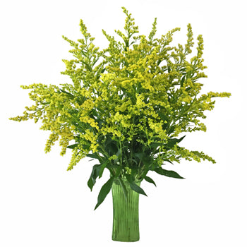 Enhanced Yellow Estelle Filler Flower