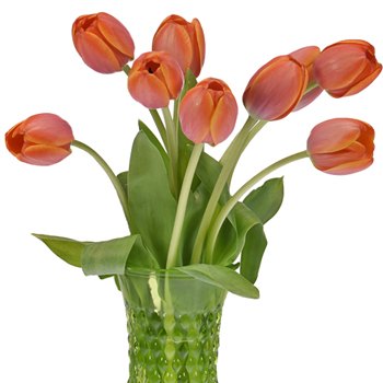 Ad Rem Orange Tulip Wholesale Flower In a vase
