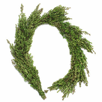 Fresh Boxwood Garland