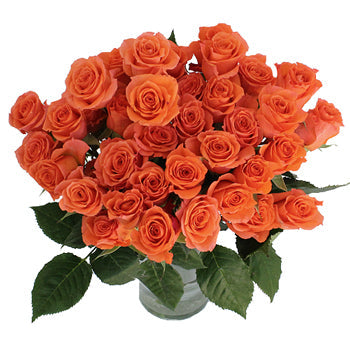 Alegria Dark Orange Spray Wholesale Roses In a vase