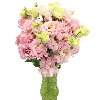 Light Pink Lisianthus Frill Flower