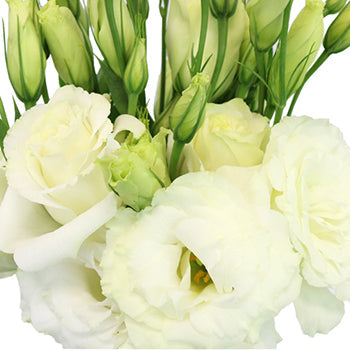 Ready To Go Wholesale Centerpieces Card
